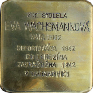 Eva Wachsmannová