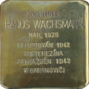 Hanuš Wachsmann